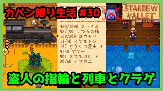 【Stardew Valley】カバン縛り生活 #30 盗人の指輪GETと列車からたくさんアイテムドロップ！【1年目夏27～28日目】