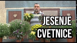 Jesenje cvetnice