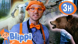 Animal Fun with Besties| Blippi and Meekah Best Friend Adventures | Educational Videos for Kids