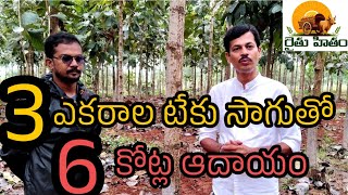 Teak farming | 3 ఎకరాలు | 1800 టేకు మొక్కలు | 6 కోట్ల ఆదాయం | A strategy by a software engineer