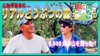 【リアルどうぶつの森スタート】8,000坪の山を買った！