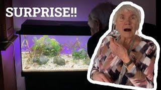 I SURPRISED my grandma with a new Juwel LED 110!