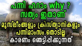 മുസ്ലീംങ്ങളും ക്രിസ്ത്യാനികളും പന്നിമാംസം കഴിക്കാറില്ല....കാരണം ഞെട്ടിപ്പിക്കുന്നത്.