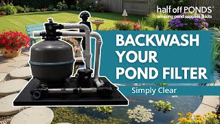 Pond Filter Backwash Guide – Simply Clear System