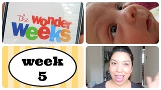 5 WEEK OLD FUSSY BABY ~THE WONDER WEEKS-LEAP 1~