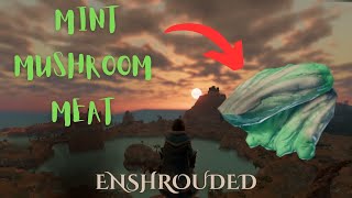 Get Mint Mushroom Meat Quickly | Enshrouded