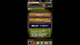 2014/06/30　パズドラ　ゴッドフェスなのでガチャ回してみた！