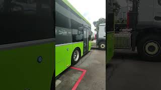 Zhongtong N12 production batch #publictransport #bus #singapore #zhongtong