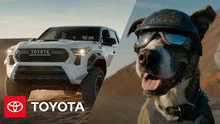 “Celebration” | The 2024 Tacoma | Toyota