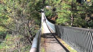 【日本山岳遺産】梅の木轟公園吊橋（熊本県‎八代市‎泉町葉木‎）