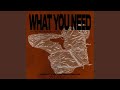 What You Need (Festival Bounce) (Extended Mix)