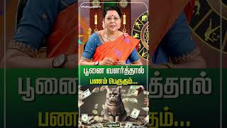 பூனை வளர்த்தால் பணம் பெருகும்...!! | Dr.வரம்.T.சரவணாதேவி #NeramNallaNeram #puthuyugamtv 24/12/2024