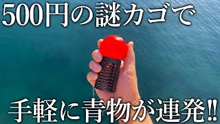 500円で購入した格安のカゴで青物が連発！魚が湧き上がるスルカゴ＋新製品で挑む堤防五目釣り
