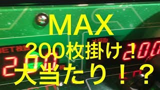 【メダルゲーム】ギンガーンでMAXベットかけてみた！