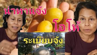 ระหว่างทางไปซื้อกับข้าวเจออะไรบ้าง? ที่นี่เยอรมัน! ใครอยากซื้อของถูก​ ต้องที่นี่​ ลดทีไรเอาไปเลย​50%