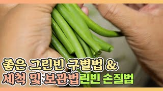 좋은 그린빈 구별법 \u0026 세척 및 보관법 MBN 210625 방송