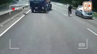 每日一片：司機拯救公路狂奔貓貓　網民：小心睇車