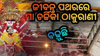 ଜୀବନ୍ତ ପଥରରେ ମା ଚର୍ଚ୍ଚିକା ✨/ Charchika Temple Banki / Banki Charchika Cuttack #banki #charchika