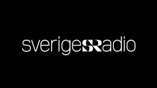 Sveriges Radio - Ekot 1992-04-25 - Rodney King