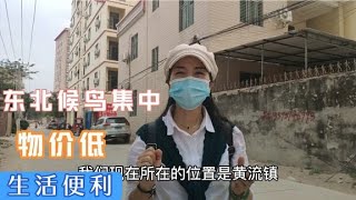 东北人旅居海南集中区域，乐东黄流镇，1000月拎包入住公寓房