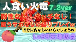 【ドラクエ10】人食い火竜　サポ討伐　耐性なしバッチなし雇えるサポなしLv99で挑む♪ 7.2ver