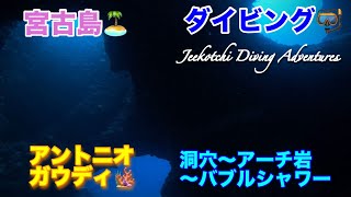 宮古島🏝ダイビング🤿アントニオガウディ🪸洞穴〜アーチ岩〜バブルシャワー😆👍2024年12月