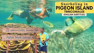 Snorkeling in Pigeon Island, Trincomalee | கடலுக்கடியில் வியக்க வைக்கும் அழகு #ceylonyathri