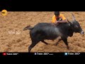 ayyampatti jallikattu 2019 theni theni360