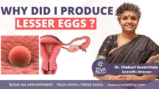 Number Of Eggs Remaining In The Ovary || Age And Fertility || Dr Chekuri Suvarchala | Ziva Fertility