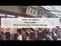 Tsukiji Fish Market, Tokyo Guide - What to do, When to visit, How to reach, Cost  Tripspell