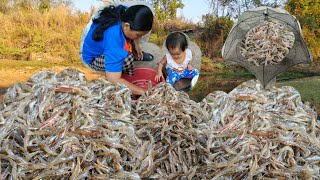 ใส่มุ้งกุ้งหมายเก่ากะหมานคือเก่ายกตุ้มขื้นแตกซวดๆ#หมานกุ้งใสตัวงามๆครับ13/กพ/68