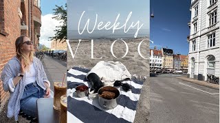 Picknick am Meer & Flohmarkt in Kopenhagen I Vlog #1