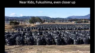 Fukushima's Forbidden Zone as a Site for Performance Art: Three Years Later