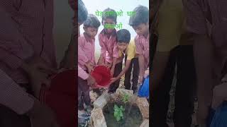 वृक्षारोपण करते हुए बच्चे#school #tree#horts