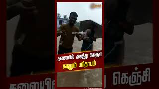 தலையில் அடித்து கெஞ்சி கதறும் பரிதாபம்! | #heavyrains #flood #peoplesuffer #newstamil24x7