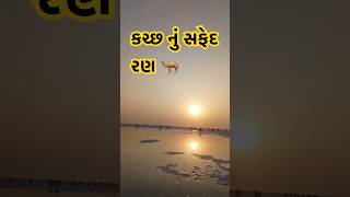 કચ્છ નું સફેદ રણ 🐪/White desert of katchh/ katchh nu safed run#yogivani#treding