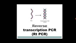 Asst.Prof.P.K.Gakkhad: Reverse transcription (Rt PCR) (MSc Microbiology MB503) Lec:11
