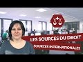 Les sources du droit : Les sources internationales - Droit STMG - digiSchool