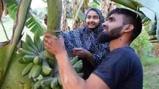 তালিম আর তারা অবশেষে মিলন ঘটলো।( Doyle Agro).😱😱