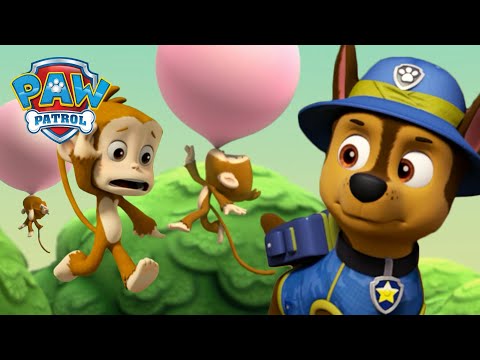Jungle Pups Rescue the bubble blowing Monkeys! PAW Patrol Cartoons for Kids Compilation
