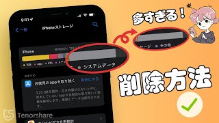 【iPhone/iPad】システムデータ（その他）が多すぎる！減らす方法を解説