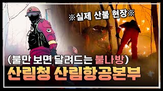 🔥우리는 불만 보면 달려드는 불나방🔥 산림청 산림항공본부 사람들