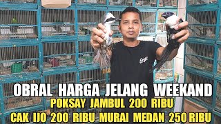 OBRAL HARGA JELANG WEEKAND POKSAY JAMBUL 200 RIBU CAK IJO,B 200 RIBU KIOS BURUNG MURAH PB PRAMUKA