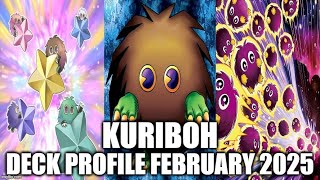 KURIBOH DECK PROFILE (FEBRUARY 2025) YU-GI-OH!