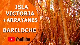 Bariloche - ISLA VICTORIA y BOSQUE de ARRAYANES (Excursión Completa)