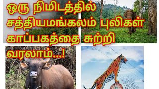 சத்தியமங்கலம் புலிகள் காப்பகம்/sathyamangalam tiger reserve