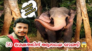 ഈ കൊമ്പൻ ഇനി നമുക്ക് സ്വന്തം 😍!!! | we bought an elephant | Kappukad elephant park |