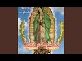 A La Virgen De Guadalupe