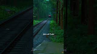 Cherukara Railway Station | Xplore with Prudhvi #cherukararailwaystation #malappuram #scenic #nature