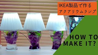 [How to make an aquarium lamp] A fashionable way to enjoy an aquarium + terrarium